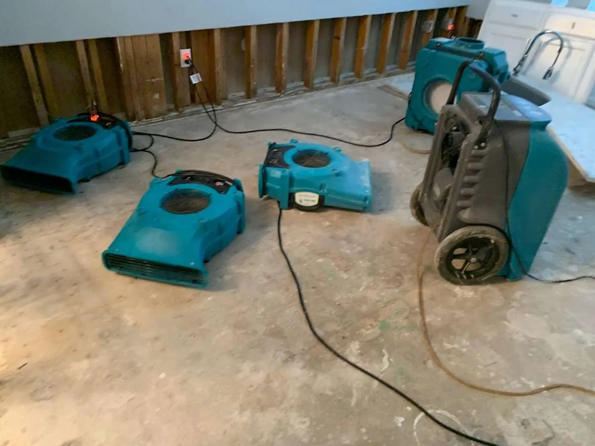 Water Damage Restoration services in Paragould, AR